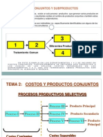 Costos Conjuntos