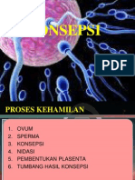 Konsepsi