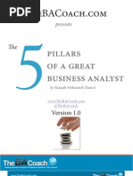 The Five Pillars of A Great Business Analyst - V1.0