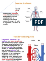 La Circulacion