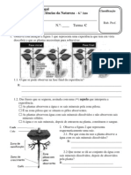 Tes 6 Plantas 2008