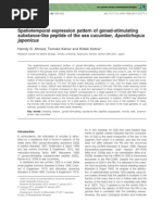 Spatiotemporal Expression Pattern of Gonad-Stimulating Substance-Like Peptide of The Sea Cucumber, Apostichopus Japonicus