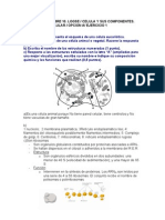 Célula - Soluciones Pau Madrid