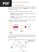 Fermentação e Atividade Enzimática