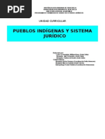 Pueblos Indigenas y Sistema Jurídico