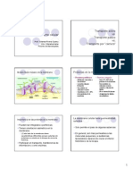 Transporte Celular PDF