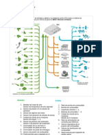 Gestión Electrónica Del Motor