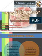 Expo Uro Tumor Renal