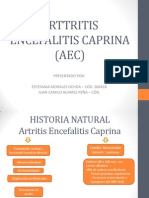 Arttritis Encefalitis Caprina