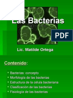 Bacterias