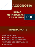 Rutas Metabolicas en Plantas