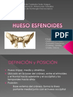 Expo Neuroanatomia Esfenoides..... Imagenes.