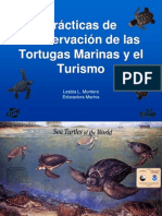 Practicas de Conservación de Las Tortugas Marinas y El Turismo