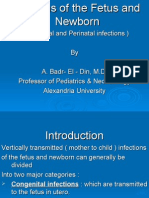 Infections of The Fetus and Newborn