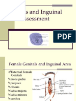 Genitals and Inguinal Assessment-Female