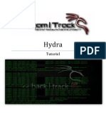 Team Track - Hydra