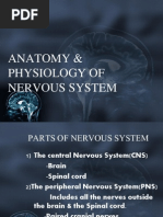 Anatomy &physlgy F Nervous System