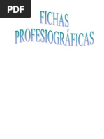 Carreras Profesionales Final Fin