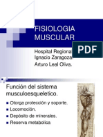 Fisiologia Muscular