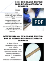 Determinacion de Cocaina en Pelo Power Point