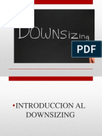 Downsizing 110425124029 Phpapp01