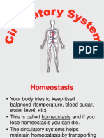 Circulatory System