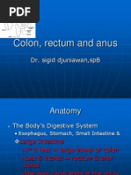 Colon, Rectum and Anus-Dr. Sigit