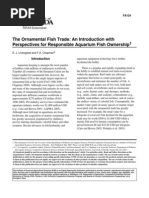 The Ornamental Fish Trade An Introduction