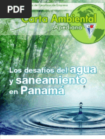 Los Desafíos Del Agua y Saneamiento en Panamá