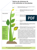 Tabla Deficiencia en Plantas PDF