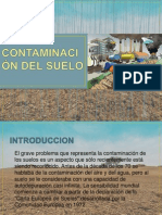 Diapositivas Contaminación Del Suelo