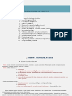 Teoria Generala A Dreptului - Sinteza