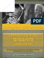 Acordando o Seu Gigante Adormecido PDF