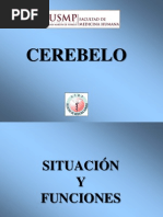 Cerebelo