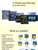 Habitats For Plants and Animals