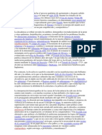 La Decadencia Española Fue El Proceso Paulatino de Agotamiento y Desgaste Sufrido Por La Monarquía Hispánica A Lo Largo Del Siglo XVII