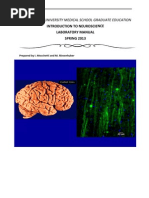 SMP Neuro Lab Manual