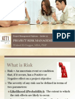 Project Risk Management