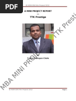 MBA Mini Project by Tushar N. Chole