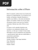 Información Sobre El Perro