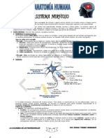 Sistema Nervioso - Sensorial