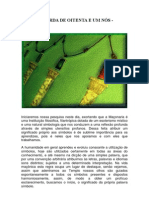 A Corda de Oitenta e Um Nós PDF