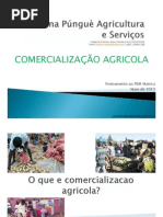 Comercializacao Agricola - Khulima Pungue KPAS PDF