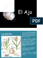 El Ajo PDF