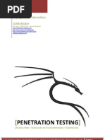 Penetration Testing PDF