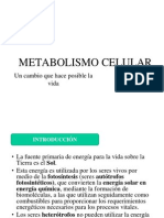 Metabolismo Celular - Ppt. Parte I