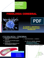 Fisiologia Cerebral Expo