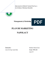 Marketing Proiect