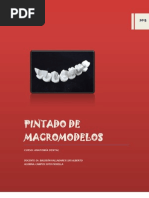 Pintado de Macromodelos