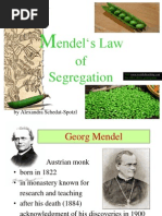 Mendels Law of Segregation